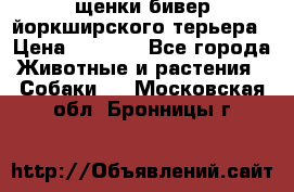щенки бивер йоркширского терьера › Цена ­ 8 000 - Все города Животные и растения » Собаки   . Московская обл.,Бронницы г.